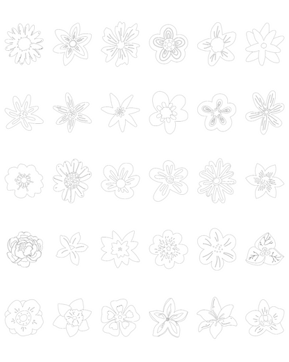 Box de Coloriage - Flora 🌸